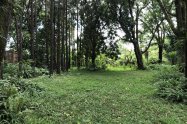 Gallery 01