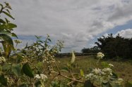 Gallery 01