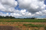 Gallery 01