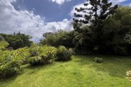 Gallery 01