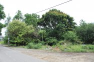 Gallery 01
