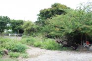 Gallery 01