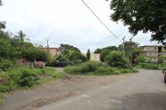 Gallery 01