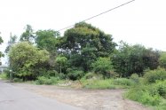 Gallery 01