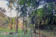 Gallery 01