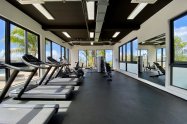 Gallery 01
