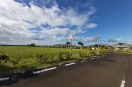 Gallery 01