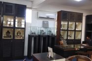 Gallery 01
