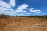 Gallery 01