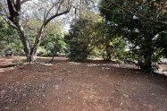 Gallery 01