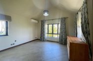 Gallery 01
