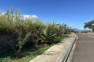 Gallery 01
