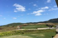 Gallery 01