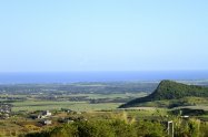 Gallery 01