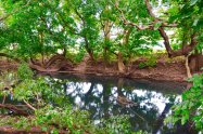 Gallery 01