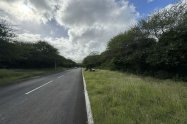 Gallery 01