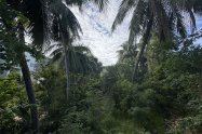 Gallery 01