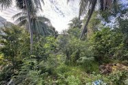 Gallery 01