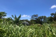 Gallery 01