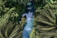 Gallery 01