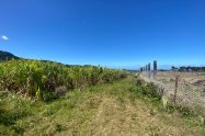 Gallery 01