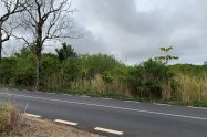 Gallery 01