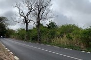 Gallery 01