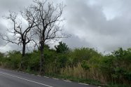 Gallery 01
