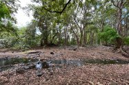 Gallery 01