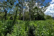 Gallery 01