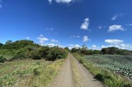 Gallery 01
