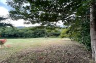 Gallery 01