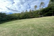 Gallery 01