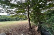 Gallery 01