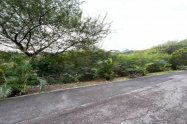 Gallery 01