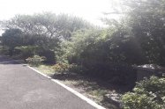Gallery 01