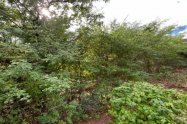 Gallery 01