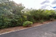 Gallery 01