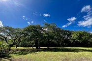 Gallery 01