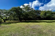 Gallery 01