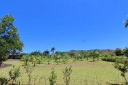 Gallery 01