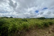 Gallery 01