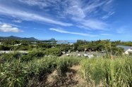Gallery 01