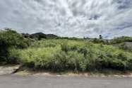 Gallery 01