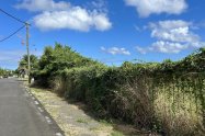 Gallery 01