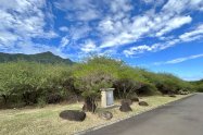 Gallery 01