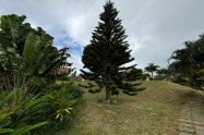 Gallery 01