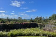 Gallery 01