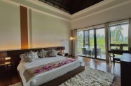 Gallery 01