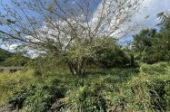 Gallery 01